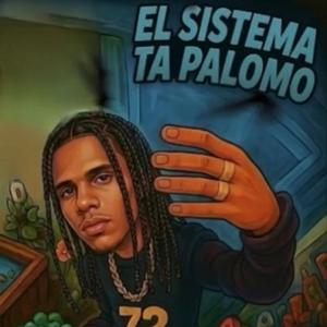 SISTEMA TA PALOMO