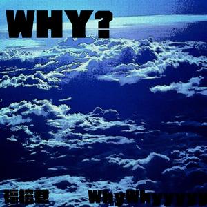 WHY?