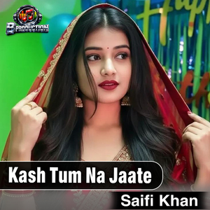 Kash Tum Na Jaate