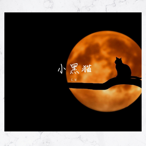 小黑猫