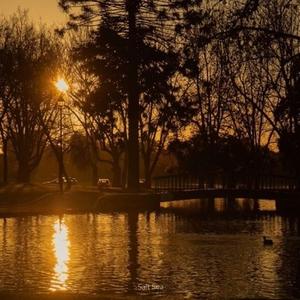 看我跃马扬鞭 (陶笛版)