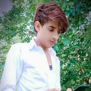 Dev Udhani Gyaras Meena Geet