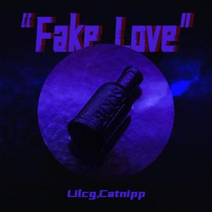 FAKE LOVE(Remix)