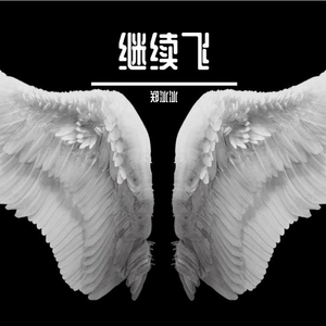 继续飞 (DJ小波版)