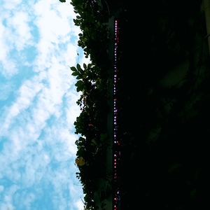 趁你旅行時搬走