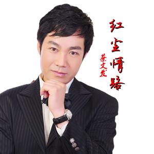 红尘情路（翻自 程苗苗）