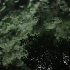 观我旧往同我仰春