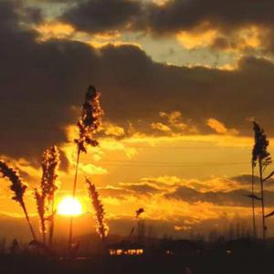 为人称道的美丽