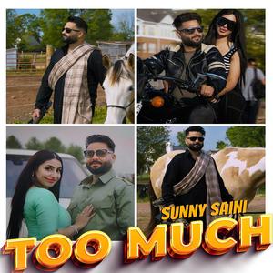 Too Much (feat. Sudesh Kumari & Deep Jandu)