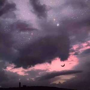 君の脈で踊りたかった/我想在你的脉搏中跳舞（翻自 初音ミク）