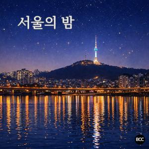서울의 밤
