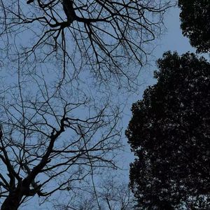 邮局那老王（prod.by Morrow)