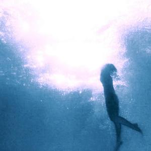 風は無条件の愛の流れ (The Wind is a Flow of Unconditional Love)