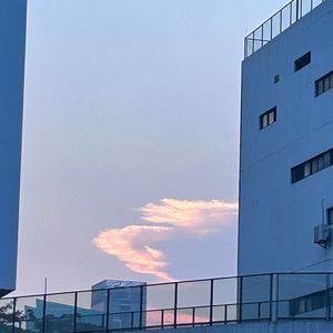 今天真的什么都不想干