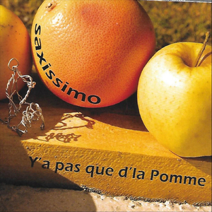 Symphonie n°25 en Sol mineur - 1er Mv : "Allegro con Brio"