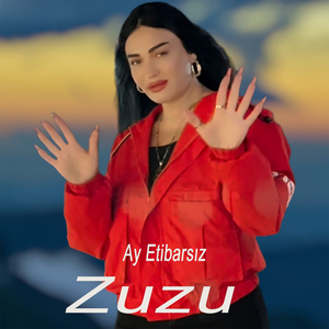 Ay Etibarsız
