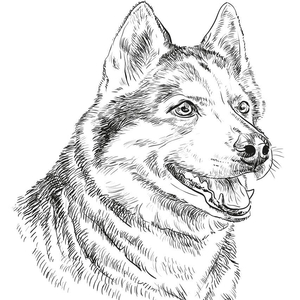 啵唧啵唧咕咕咕(prod byRed killer）