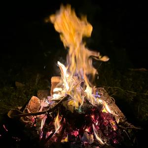 《多想在平庸的生活拥抱你》