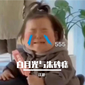 白月光与朱砂痣