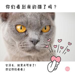 学到老爱到老 (Inst.)