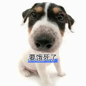 差一点抓到月亮