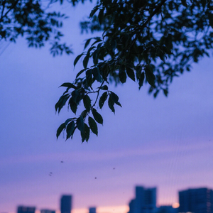 浮生安稳享安宁