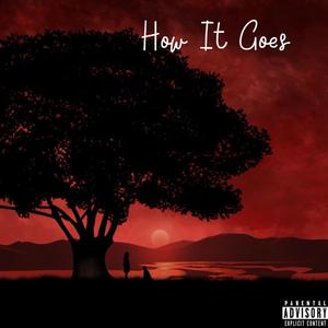 How It Goes (feat. D.A.N & Aaron KAMI)