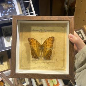 启程-纯音乐.wav