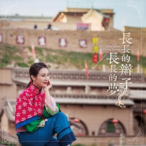 长长的辫子长长的梦