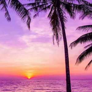 与你（Prod.YoungHarry）