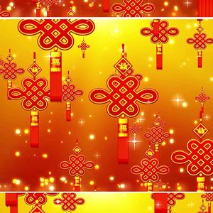 只能对不起你(晚会版)（翻自 李龙）