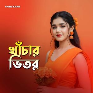 খাঁচার ভিতর