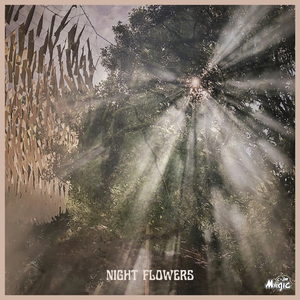 Night Flowers