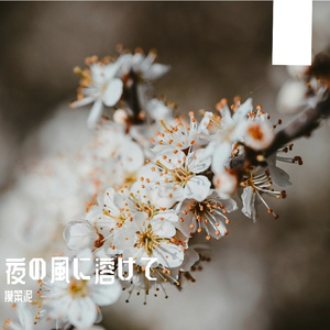 夜の風に溶けて