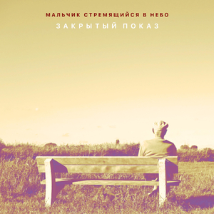 Мальчик стремящийся в небо