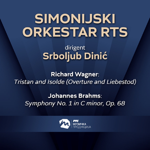 Symphony No. 1 in C Minor, Op. 68 - Andante sostenuto (Live)