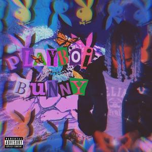 Playboi Bunny