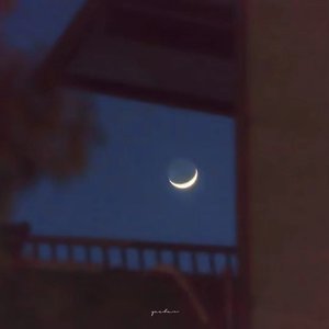 也许说我爱你这感觉一定很假