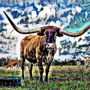 The Northern Character