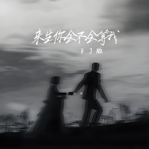 来生你还会不会等我 (Dj版)