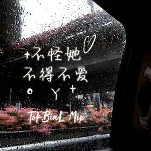 不得不爱&不怪她&Y（TokBinL 520 Mix）Final