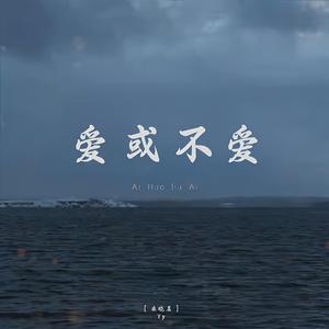 爱或不爱（DJ版）