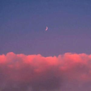 Shadow-晓(beats改编)（蒋俊杰 ）