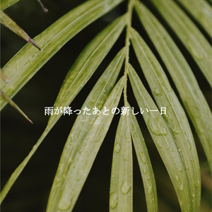 Sensational Kicking Back October