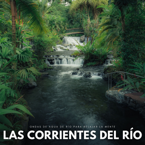 Mentes Centradas