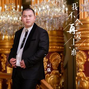 我不会再爱上谁 (伴奏)