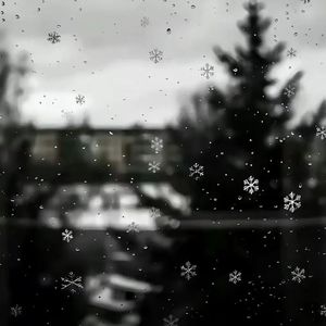 Cigarettes and lighters