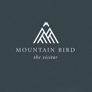 The Visitor