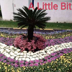 A Little Bit