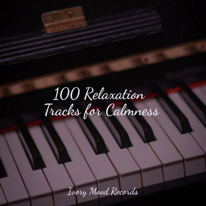 Enigmatic Orbital Odyssey